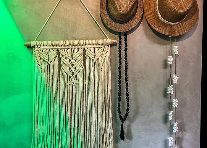 Boat & Boost Guest house Amsterdam